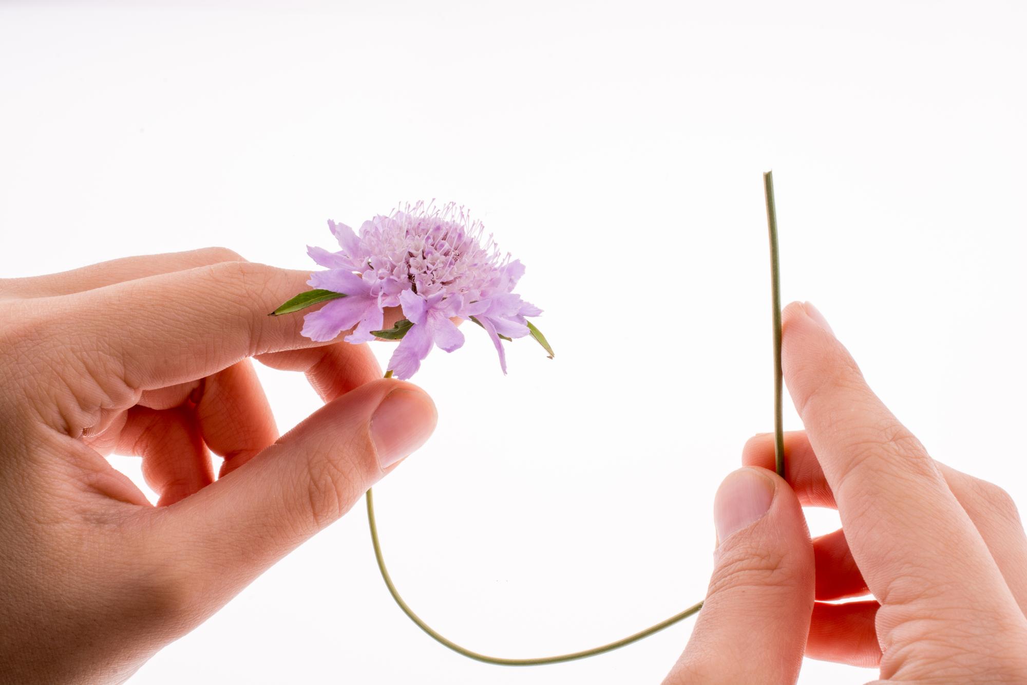 Detail eines floralen Stiches